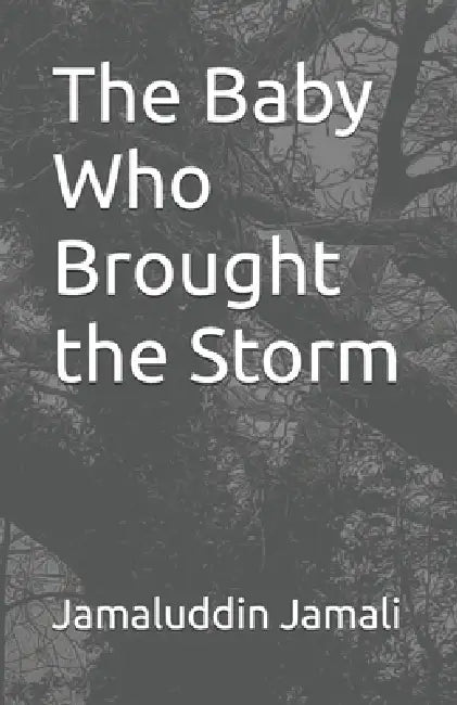 The Baby Who Brought the Storm by Jamaluddin Jamali
