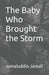 The Baby Who Brought the Storm by Jamaluddin Jamali