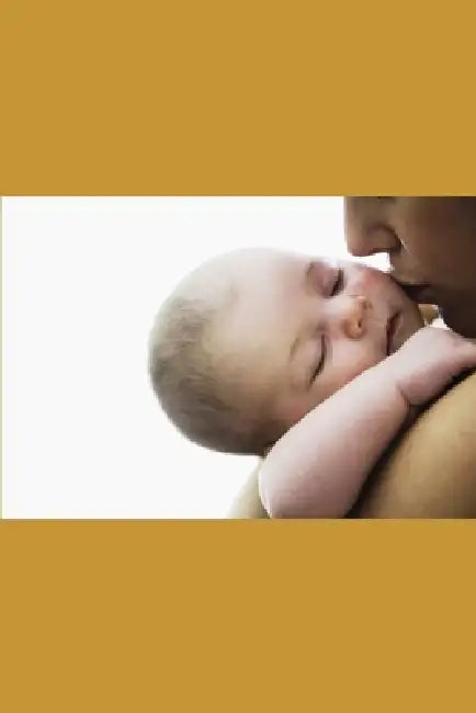 Perfect Motherhood: A Novel of Trauma, Survival, Estrangement, and Imperfect Love by S. Walker