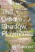 The Dream Shadow Playmates: The Fading Veil by Tim Nevolo