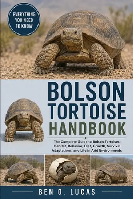 Bolson Tortoise Handbook: The Complete Guide to Bolson Tortoises: Habitat, Behavior, Diet, Growth, Survival Adaptations, and Life in Arid Environments by Ben O. Lucas