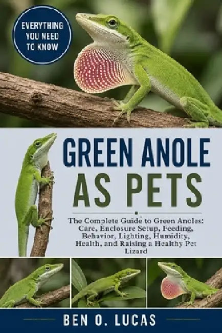 Green Anole as Pets: The Complete Guide to Green Anoles: Care, Enclosure Setup, Feeding, Behavior, Lighting, Humidity, Health, and Raising a Healthy P by Ben O. Lucas