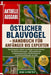 Östlicher Blauvogel - Handbuch Für Anfänger Bis Experten: Ein umfassender Leitfaden zur Biologie und zum Verhalten des Östlichen Blauvogels - Nahrungs by Noah G. O. Matteo