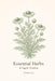 Essential Herbs and Sagely Wisdom: A Quiet Guide for Women by Tianna Lily