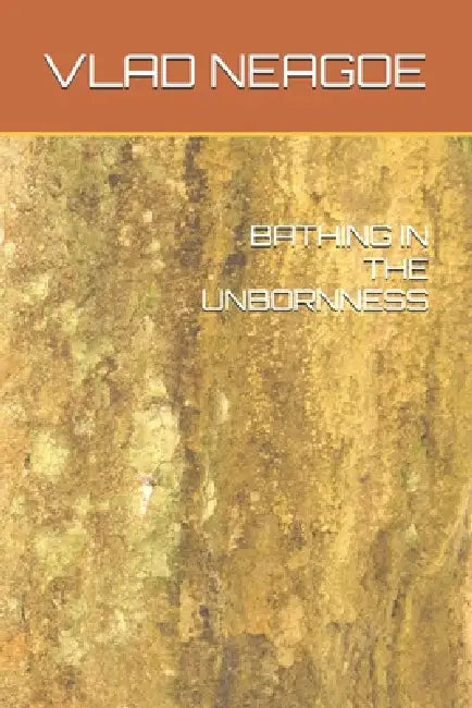Bathing in the Unbornness by Liviu Neagoe, Vlad Neagoe