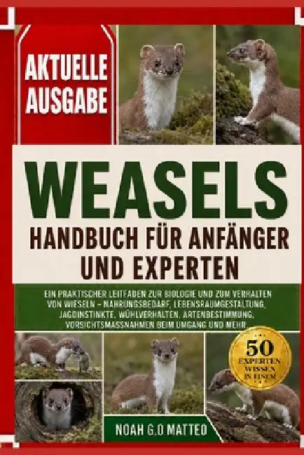 Weasels - Handbuch Für Anfänger Und Experten: Ein praktischer Leitfaden zur Biologie und zum Verhalten von Wieseln - Nahrungsbedarf, Lebensraumgestalt by Noah G. O. Matteo
