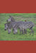 B'ajlom ii Nkotz'i'j Publications' Wolof Phrasebook: Ideal for Traveling to Senegal, the Republic of Gambia, and Mauritania by Sandra Chigüela, Mateo G. R.