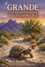 Grande: The Desert Tortoise Who Found His Way by Stephen Peridore