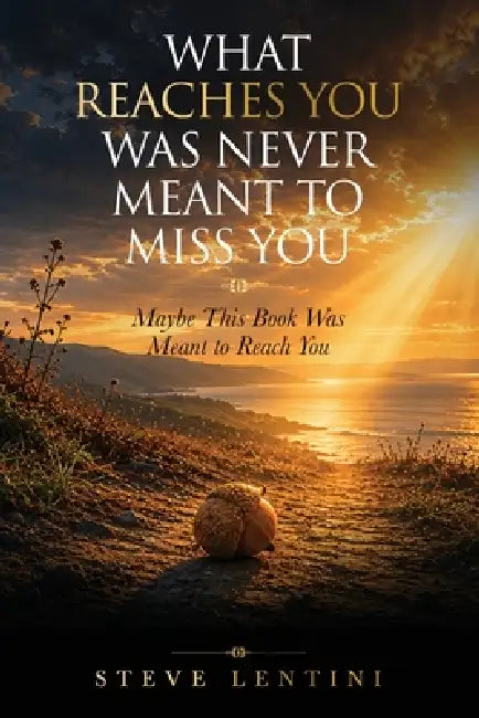 What Reaches You Was Never Meant To Miss You: Maybe This Book Was Meant To Reach You by Steve Lentini