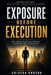 Exposure Before Execution: Why Great Ideas Fail Without Exposure and Experience by Chidera Destiny Victor Anucha