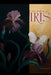 The Birth Of Iris by Iris