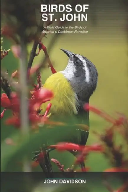 Birds of St. John by John Joseph Davidson