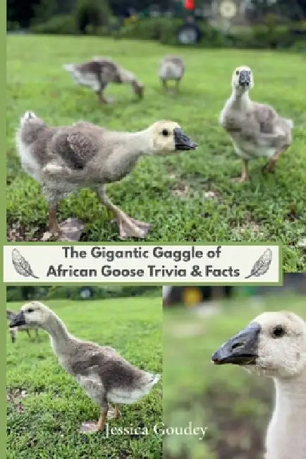The Gigantic Gaggle of African Goose Trivia & Facts by Jessica Goudey