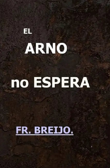 El Arno No Espera: (Un hombre solo en Florencia) by Francisco R. Breijo Marquez