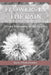 Flowers in the Rain: Verses Blooming in the Cracks---A Coffee table Book with Illustrations by Jayita Bhattacharjee
