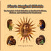 Picu's Magical Shields: The Complete 4-Book Collection on Emotional Resilience, Kindness, and Confidence for Preschoolers by Ionela Hudici