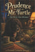 Prudence and Mr. Turtle: The Rock That Blinked by Crystall Carmen-Stevens
