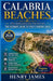 Calabria Beaches 2026: The Ultimate Guide to Italy's Hidden Coast by Henry James