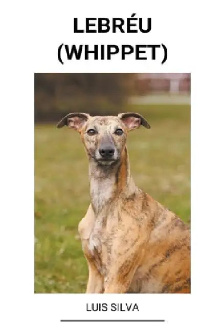 Lebréu (Whippet) by Luis Silva