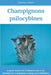 Champignons psilocybines: Le guide complet de l'utilisation sûre et des bienfaits des champignons magiques psychédéliques by Jean Paul Fermier