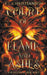 Court of Flame and Ashes by T. L. Christianson