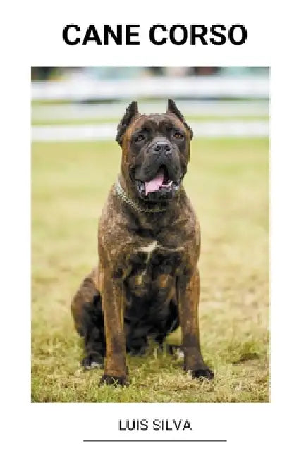 Cane Corso by Luis Silva