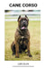 Cane Corso by Luis Silva