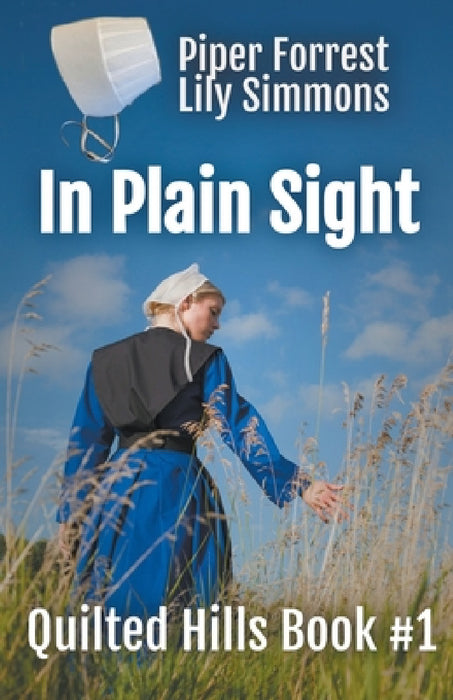In Plain Sight by Bev Haynes, Jewel Adams