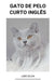 Gato de Pelo Curto Inglês by Luis Silva