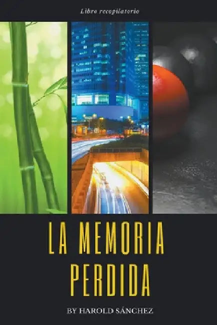 La Memoria Perdida - Libro Recopilatorio by Harold Sanchez
