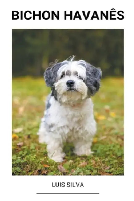 Bichon Havanês by Luis Silva
