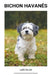 Bichon Havanês by Luis Silva