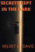 Secrets Kept In The Dark by Velvet Davis