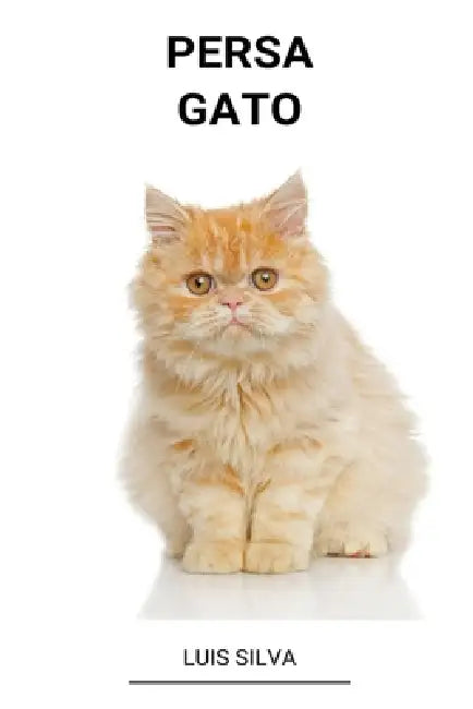 Persa (Gato) by Luis Silva