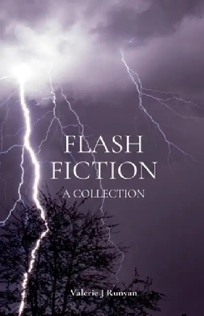 Flash Fiction by Valerie J. Runyan