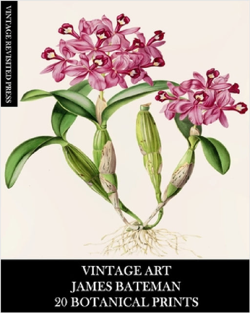 Vintage Art: James Bateman: 20 Botanical Prints: Orchid Ephemera for Framing, Home Decor, Collage and Decoupage by Vintage Revisited Press