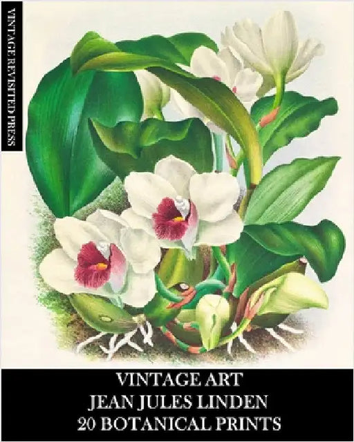 Vintage Art: Jean Jules Linden: 20 Botanical Prints: Orchid Ephemera for Framing, Home Decor, Collage and Decoupage by Press, Vintage Revisited