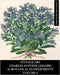 Vintage Art: Charles Antoine Lemaire: 25 Botanical Flower Prints: Volume 2 by Vintage Revisited Press