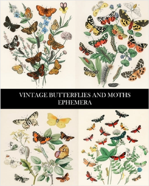 Vintage Butterflies and Moths Ephemera: 35 Sheets: One-Sided Lepidopterology Decorative Paper by Vintage Revisited Press