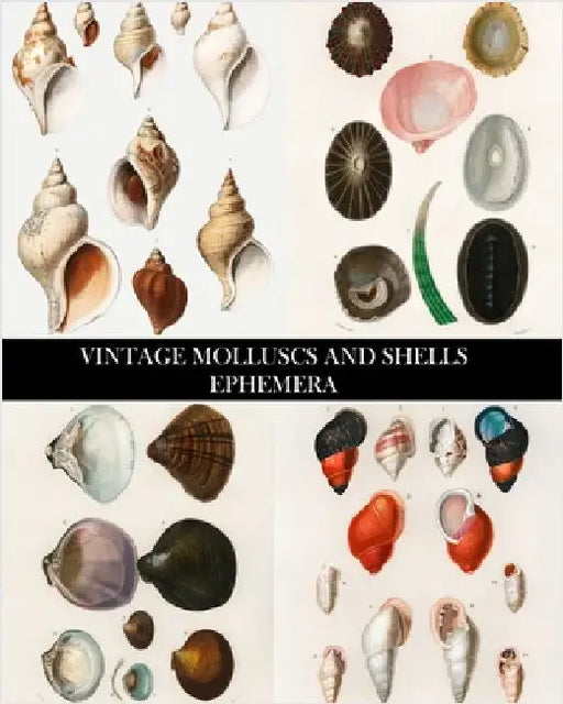 Vintage Molluscs and Shell Ephemera: Conchology Decorative Paper for Collages, Decoupage and Junk Journals by Press, Vintage Revisited