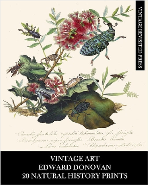 Vintage Art: Edward Donovan: 20 Natural History Prints: Entomology Ephemera for Home Decor, Collages and Scrapbooks by Vintage Revisited Press