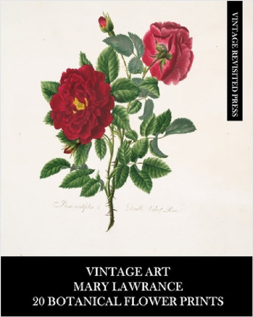 Vintage Art: Mary Lawrance: 20 Botanical Flower Prints: Roses Ephemera for Framing, Collages, and Junk Journals by Vintage Revisited Press
