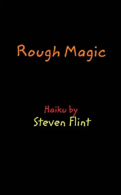 Rough Magic by Steven Flint