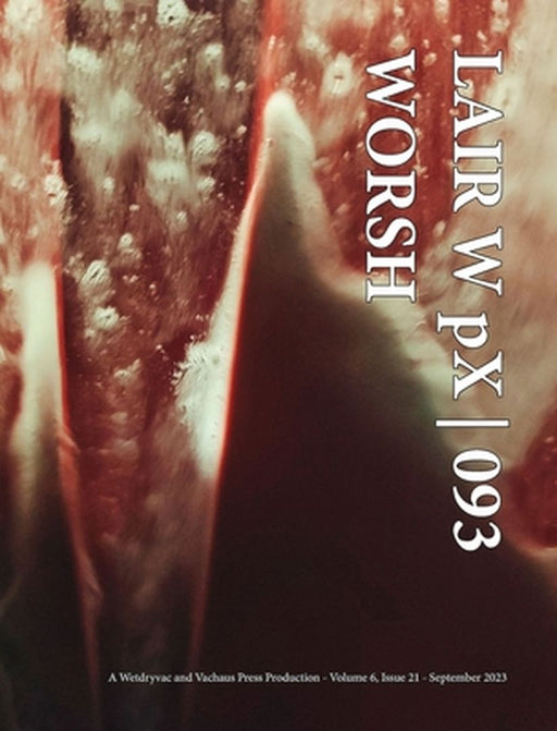 LAIR W pX 093 Worsh by Wetdryvac