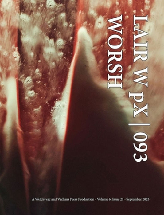 LAIR W pX 093 Worsh by Wetdryvac