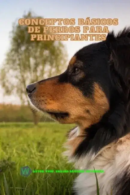 Conceptos básicos de perros para principiantes by Ubaldo Sánchez Gutiérrez