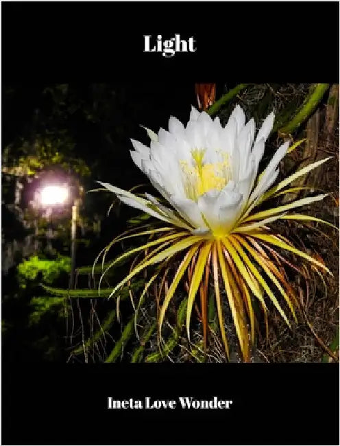 Light by Ineta Love Wonder