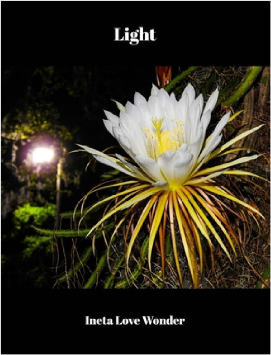 Light by Ineta Love Wonder