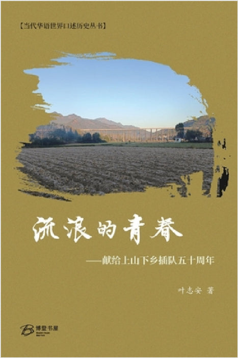 流浪的青春 by 叶志安 著