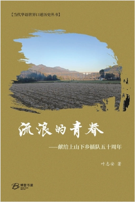 流浪的青春 by 叶志安 著